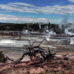 Yellowstone 2013